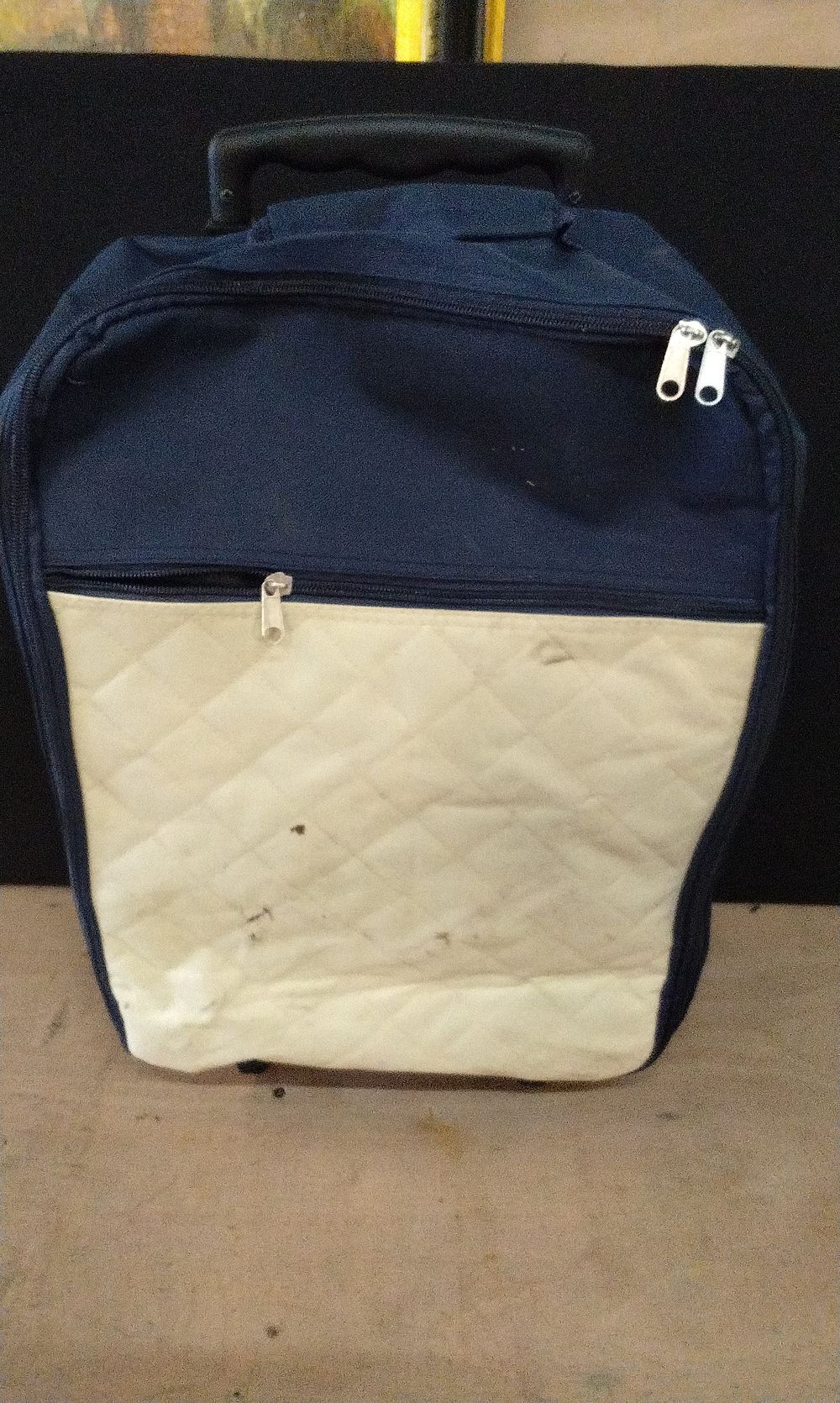 Lot 295: Wheeled Shopper Bag with Extendable Handle