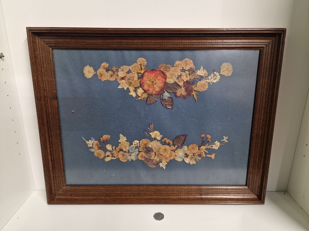 Lot 257: Dried Flowers in Frame