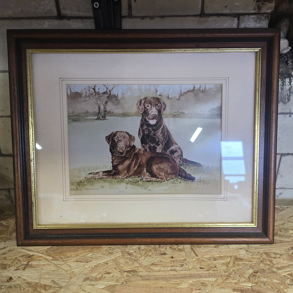 Lot 239: Picture of two chocolate labs