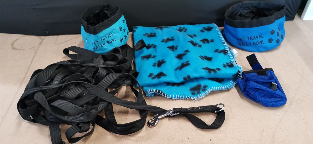 Lot 250: A Collection of Pet Travel and Training Accessories