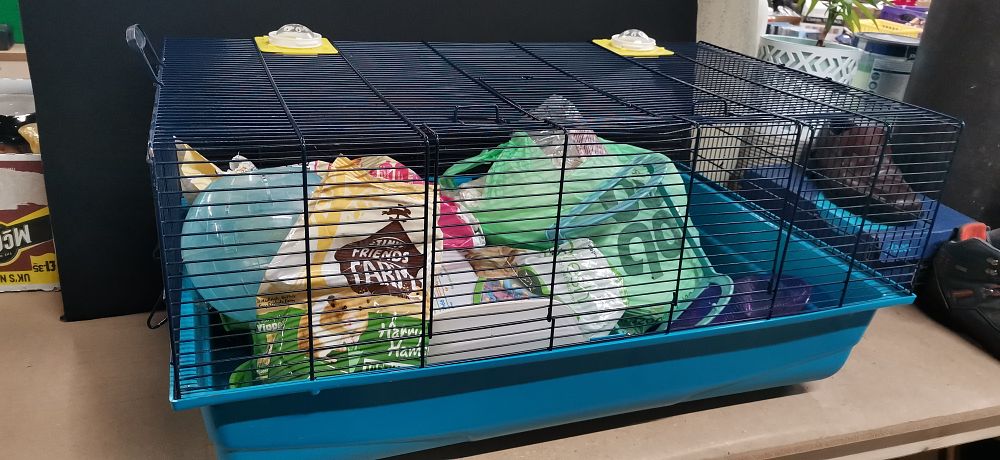 Lot 222: A Small Animal Cage and Collection of Accessories