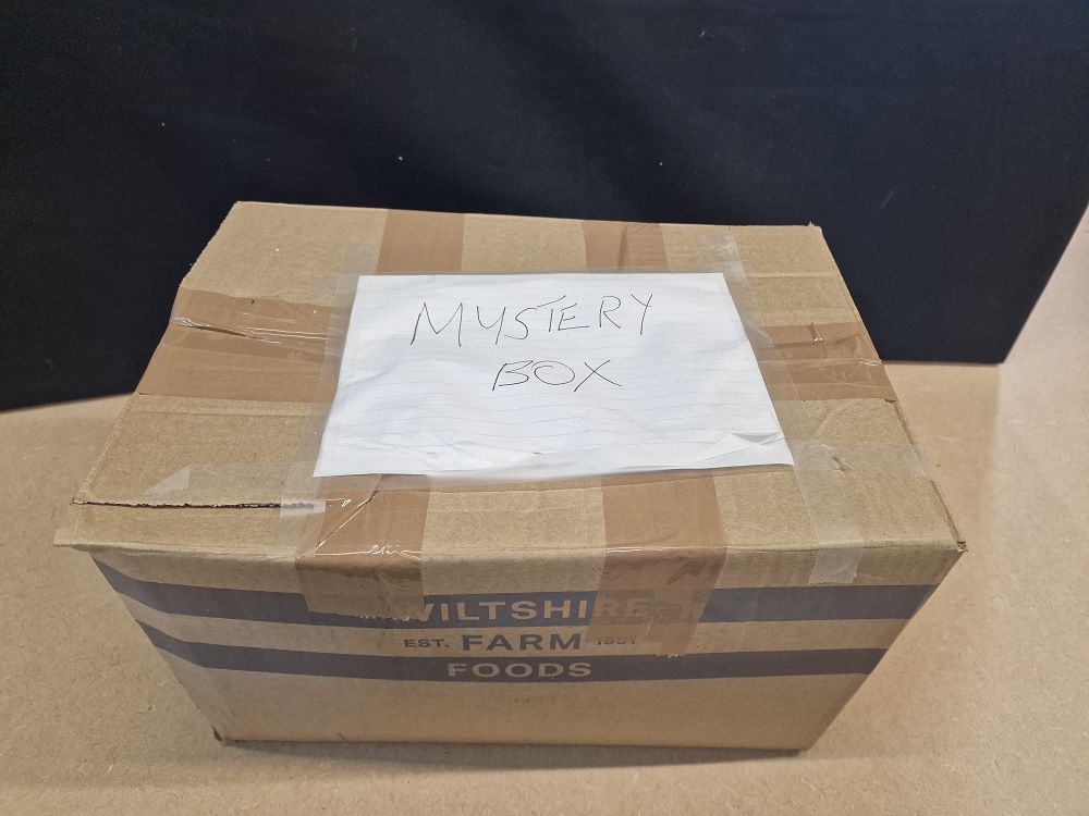 Lot 382: Mystery Box???