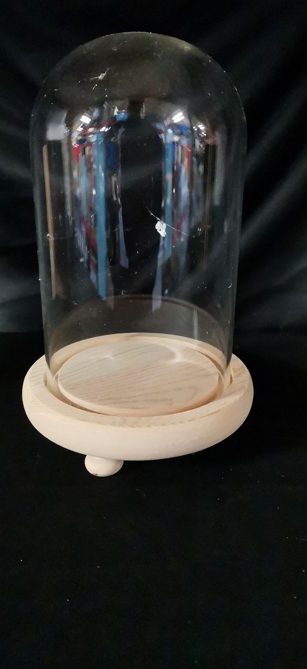 Lot 165: Clear Glass Display Cloche with Natural Wood Base