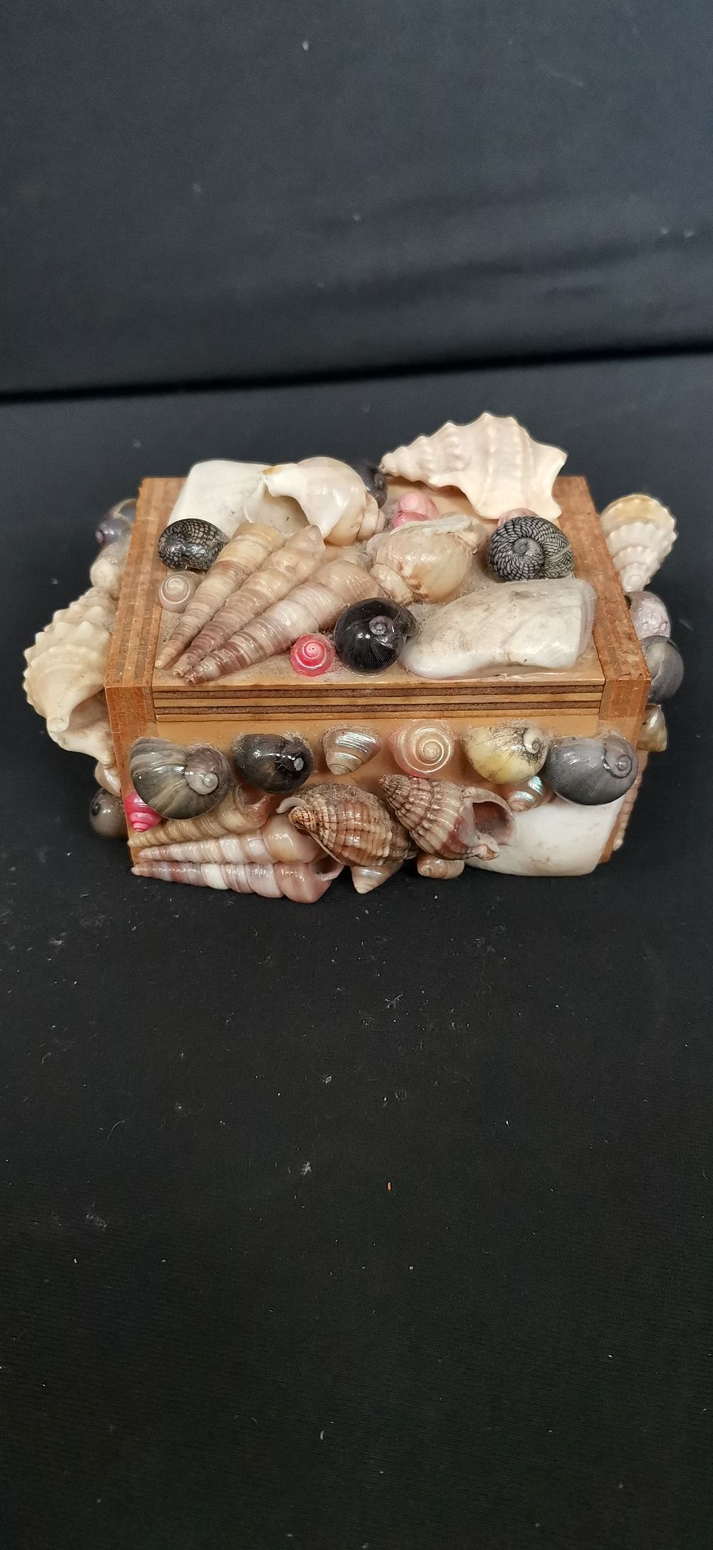Lot 440: A Small Shell Encrusted Wooden Trinket Box