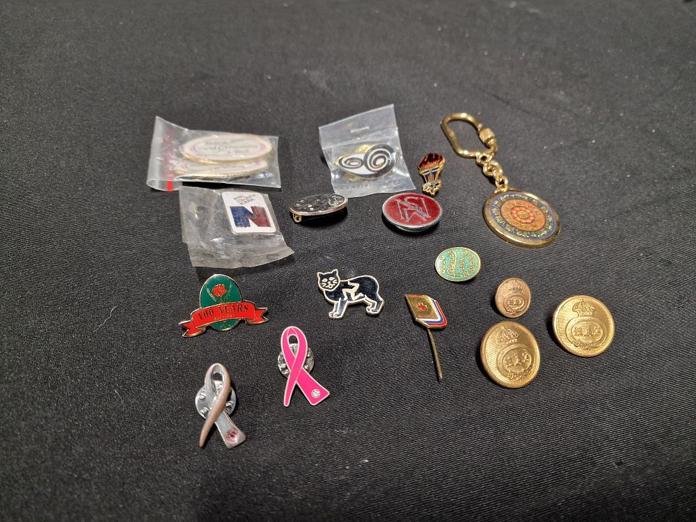 Lot 497: A Collection of Nursing Badges Charity Pins and a Keychain