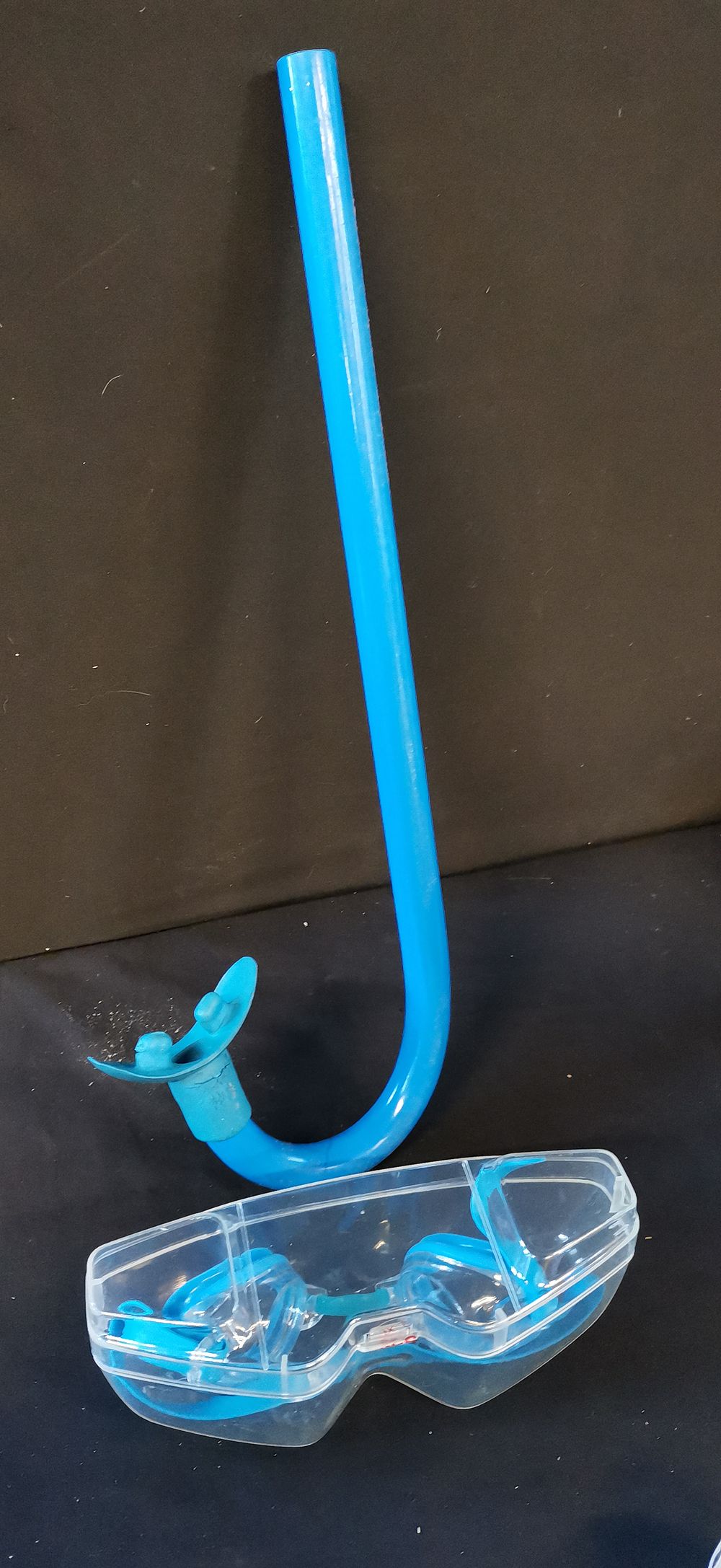 Lot 484: A Blue Snorkel and a Pair of Swimming Goggles