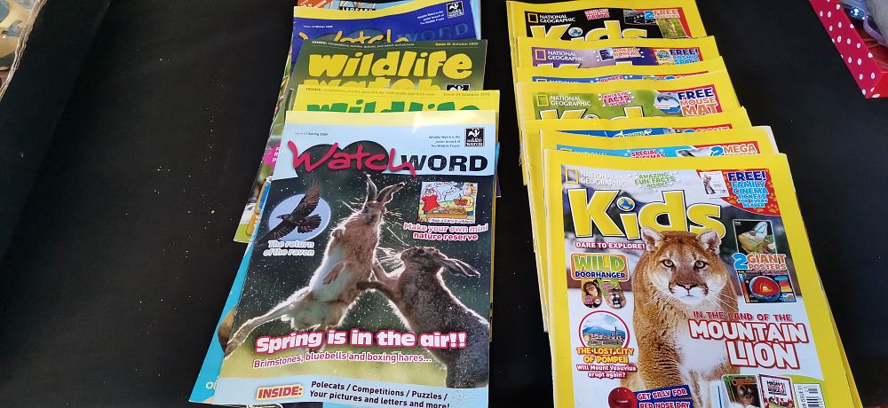 Lot 493: A Collection of Childrens Nature Magazines