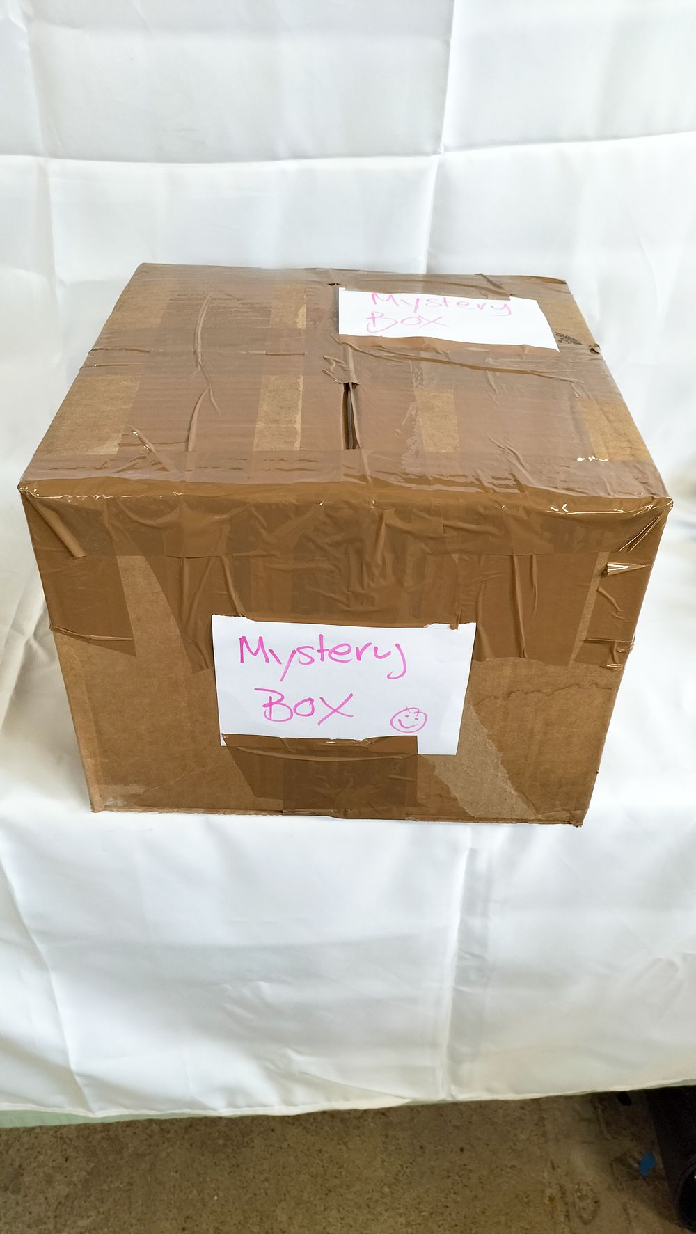 Lot 487: A Sealed Cardboard Mystery Box