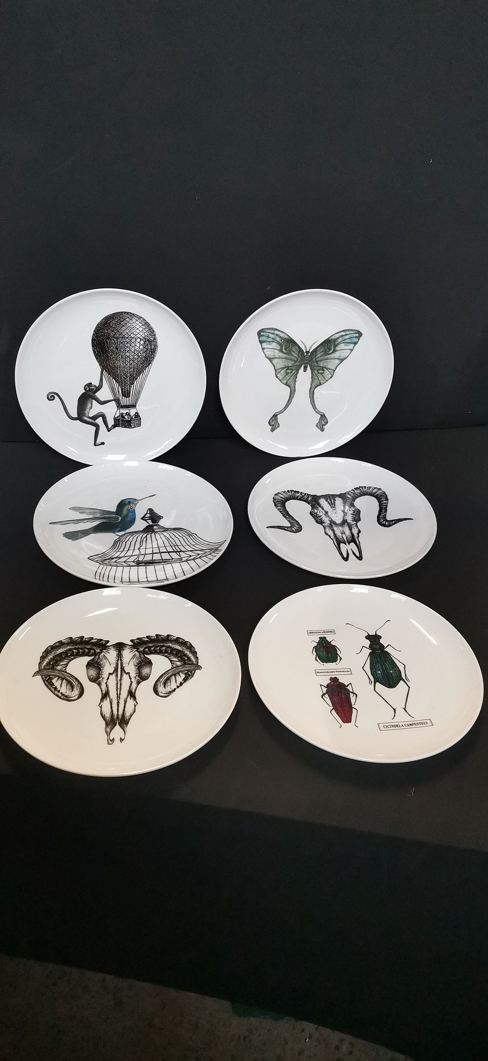 Lot 719: A Collection of Natural History Ceramic Plates