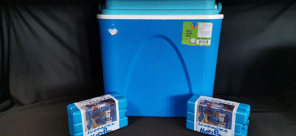 Lot 601: Three Items Comprising an Asda 24L Cool Box and Two Packs of Happy Park Ice Blocks