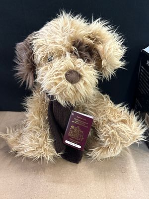 Playful Pals Dylan Dog Plush Toy with Novelty Passport