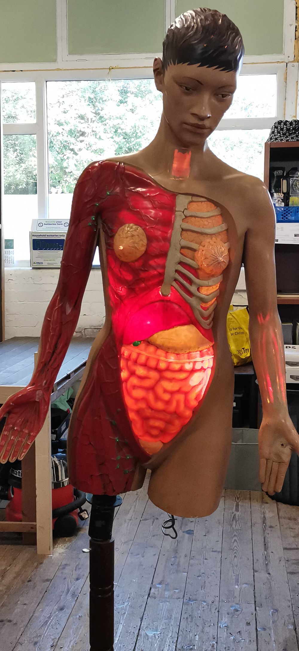 Lot 224: A Vintage Illuminated Life-Sized Female Anatomical Teaching Torso Mannequin