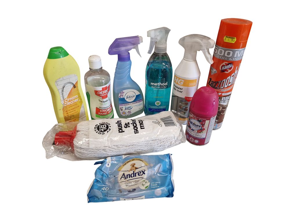 Lot 581: A Collection of Branded Household Cleaning and Personal Care Supplies