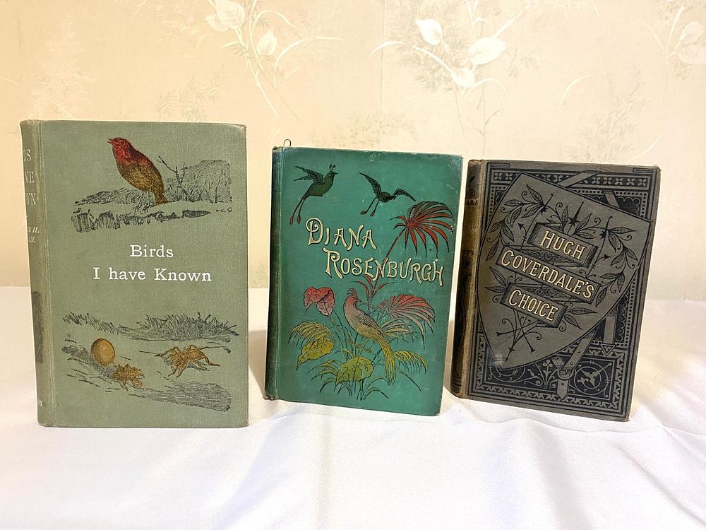 3x books, an old Diana Rosenburgh book & 2 others