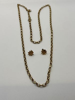 A 9ct yellow gold belcher chain & a pair of 9ct yellow gold earrings, 25 inch long, weight is 