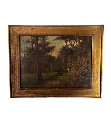 UNIDENTIFIED SIGNATURE - Wooded landscape. Oil painting on panel, 20th century period, Italian 