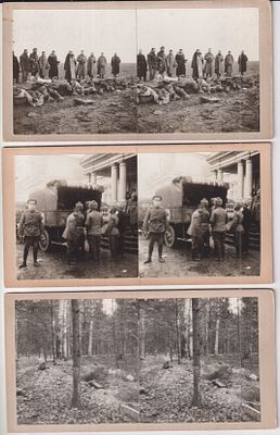 [ПМВ, 23-й сибирский полк]. 19 стереопар с фотографиями событий Первой мировой войны на 