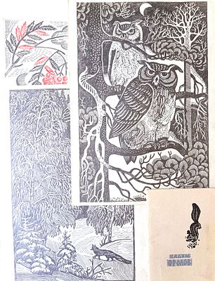 [Автограф] Каталог выставки и 20 рисунков Вадима Фролова. Бумага, карандаш, цв. карандаши. 