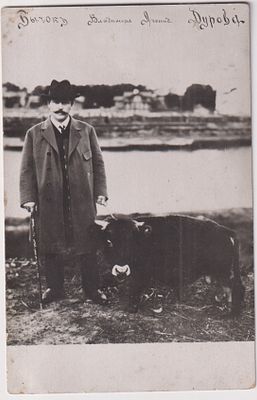 Дуров Владимир Леонидович с бычком. Фотография на открытом письме. Владимир Леонидович Дуров 