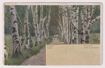 Аллея. А. Гауш. Открытое письмо. Изд-е Св. Евгении.