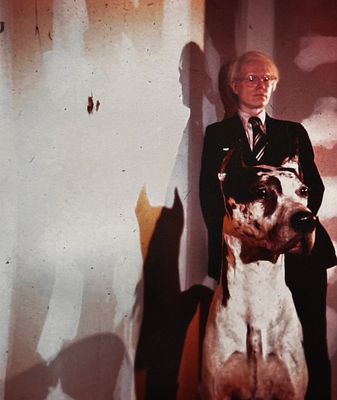 Andy Warhol - Andy Warhol – Pop Shadows - Vintage Photograph, 20 x 17 cm. A striking portrait of