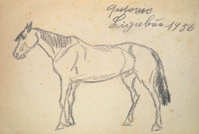 Antonio Ligabue, Horse – 1956 – charcoal on paper, signed and dated
. Rare and authentic work
