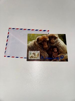 Keith Haring Postcard Signed by Hand WWF. Keith Haring 
WWF postcard signed with marker and hand 