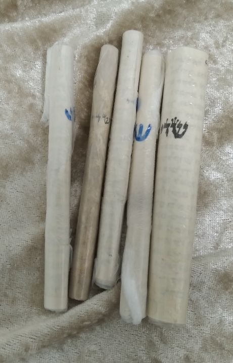 5 מזוזות גודל 10. מפינוי דירות. ללא אחריות על הכשרות