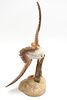 HOMCO Masterpiece Porcelain 1986 Sandpiper Bird Figurine. A single brown, beige, and white Image - 4