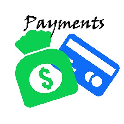 Payments-PAYMENT AND DEBT COLLECTION 
Final Sale: Placing a winning bid creates a legally 