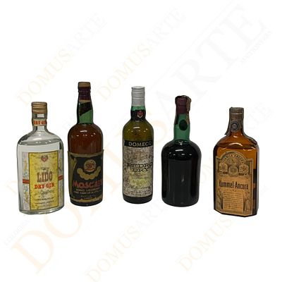 Lote de garrafas diversas (5). Conjunto de 5 garrafas diversas composto por Lido Dry Gin 