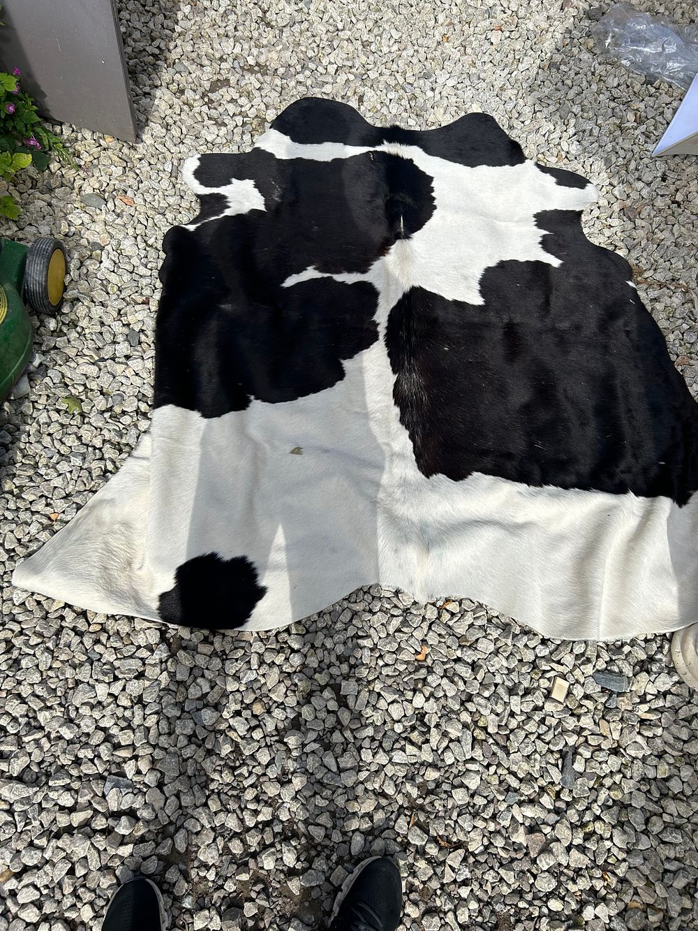 Lot 343: Cow Hide Rug 59 x 61”