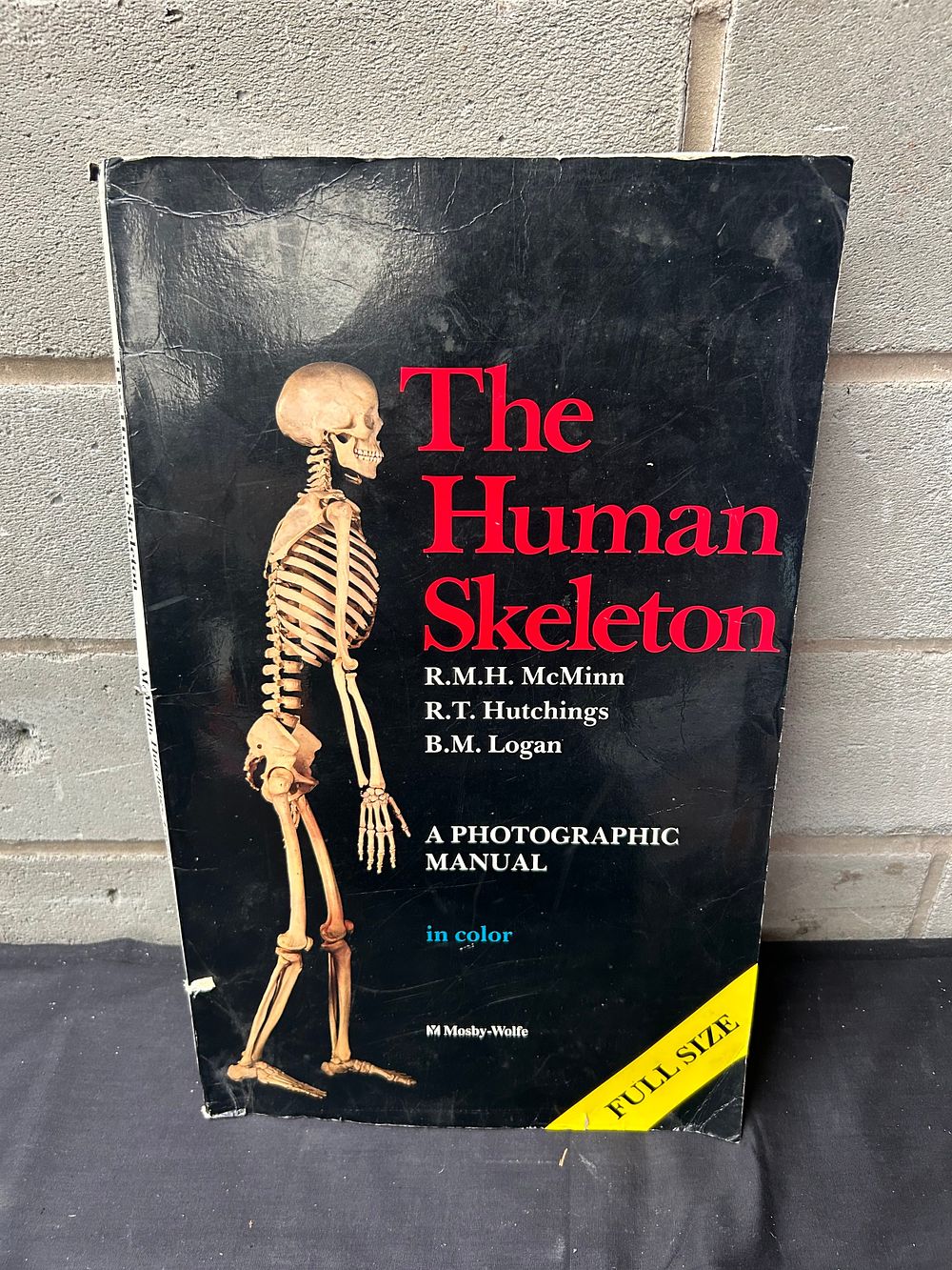 Lot 237: The Human Skeleton Photographic Manual.
