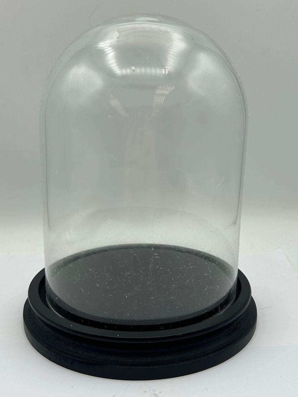 Lot 637: A 9” Tall Glass Display Cloche with Black Wooden Base