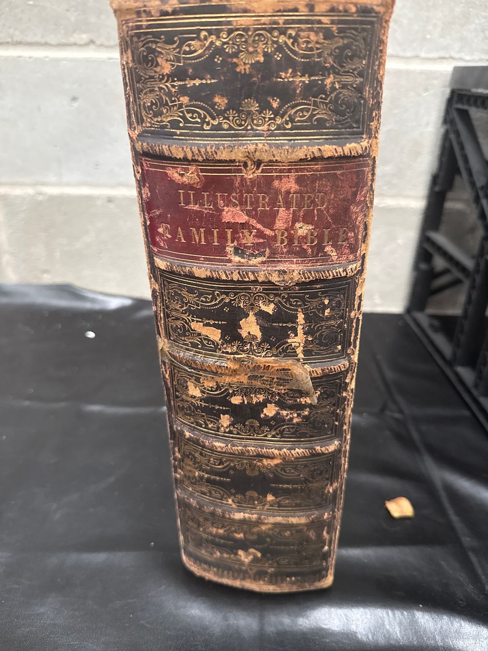 Lot 468: A 19th Century Illustrated Family Bible, in Leather Binding