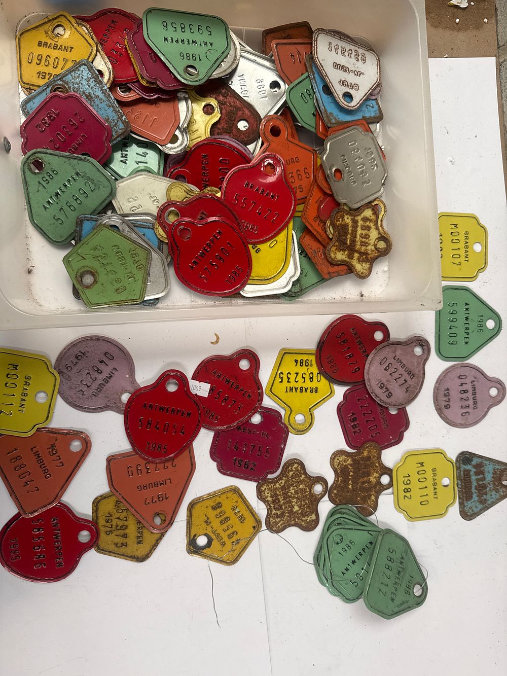 Lot 550: A Collection of  Vintage Belgian Provincial Dog Tax License Tags, 1970s-1990s