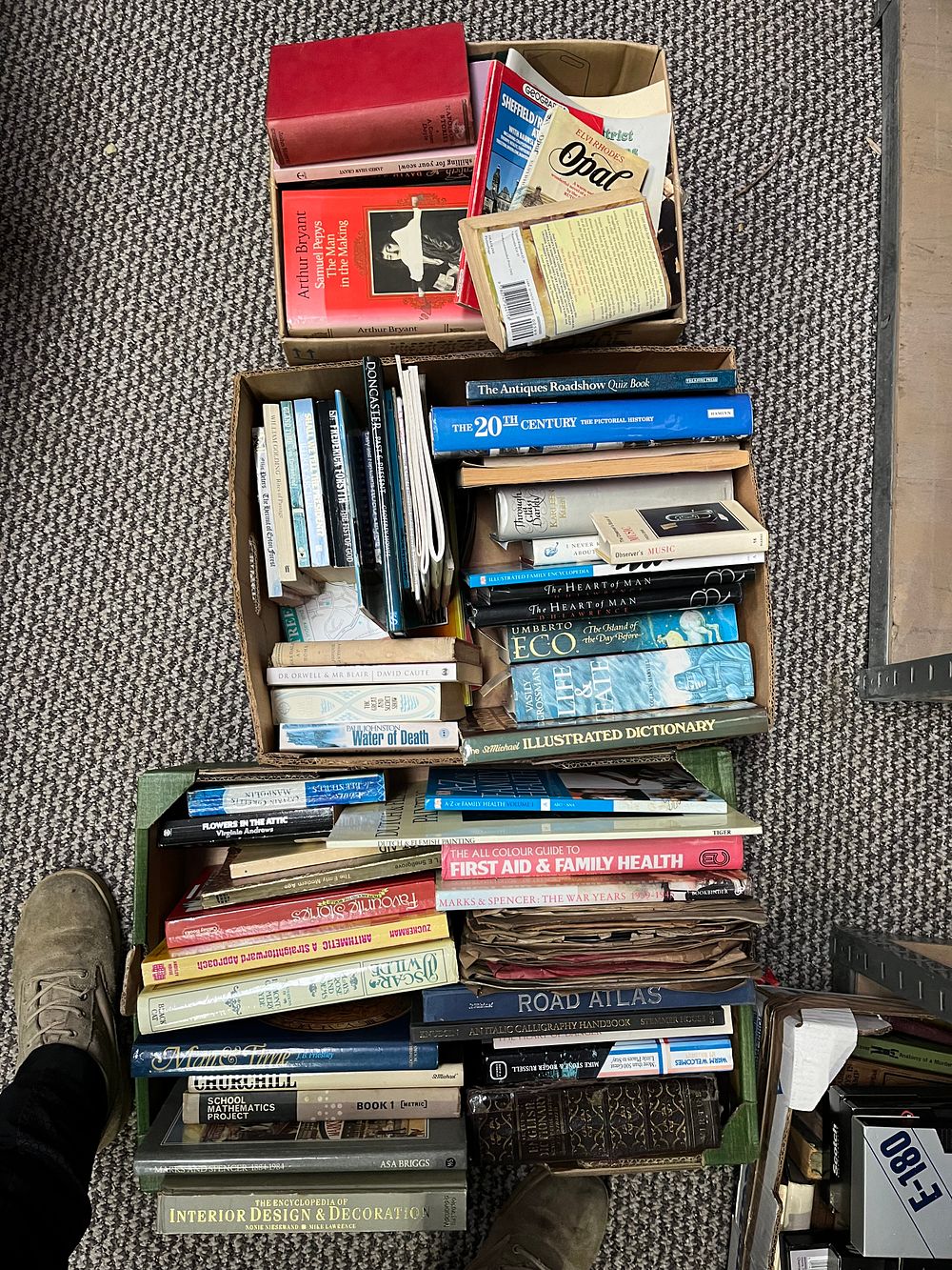 Lot 339: A Collection of Miscellaneous Books and Reference Works