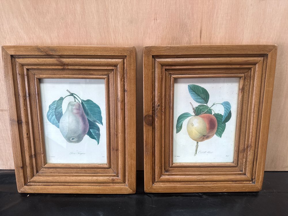 Lot 411: A Pair of Pierre-Joseph Redoute Framed Botanical Fruit Prints