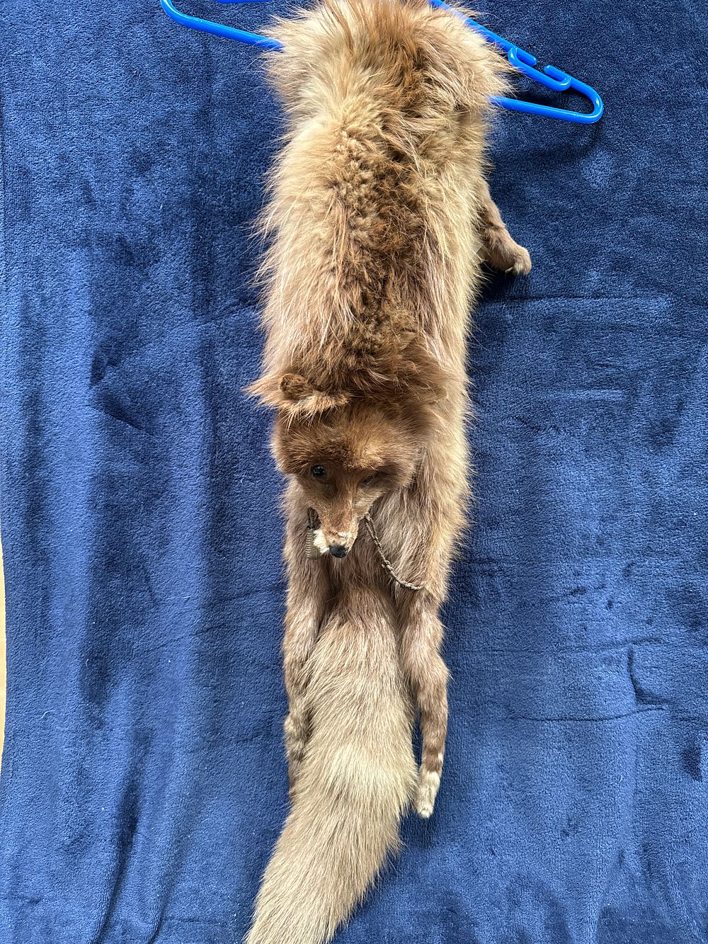Lot 569: A Mid-20th Century Red Fox Fur Stole