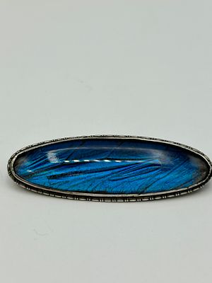 A Sterling Silver and Morpho Butterfly Wing Brooch