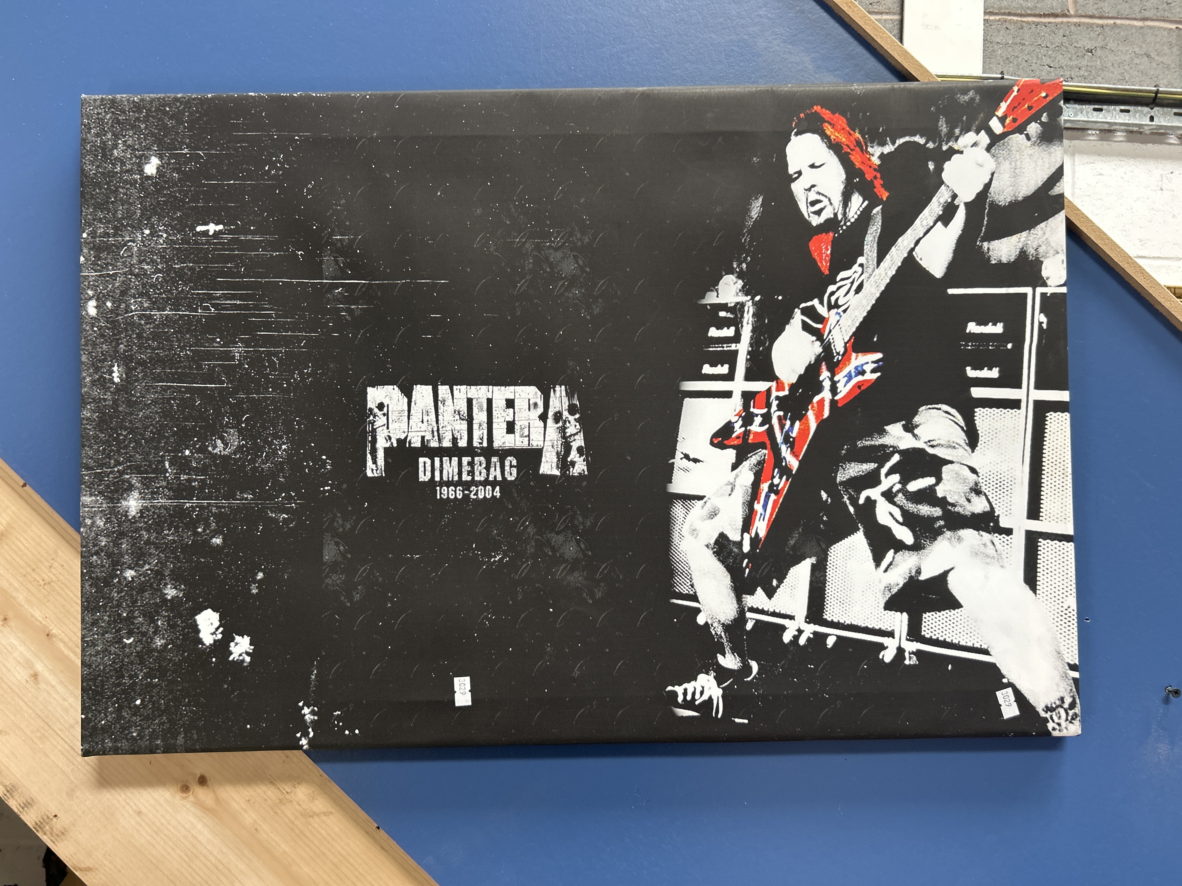 Pantera Dimebag Darrell Commemorative Printed Canvas Wall Art