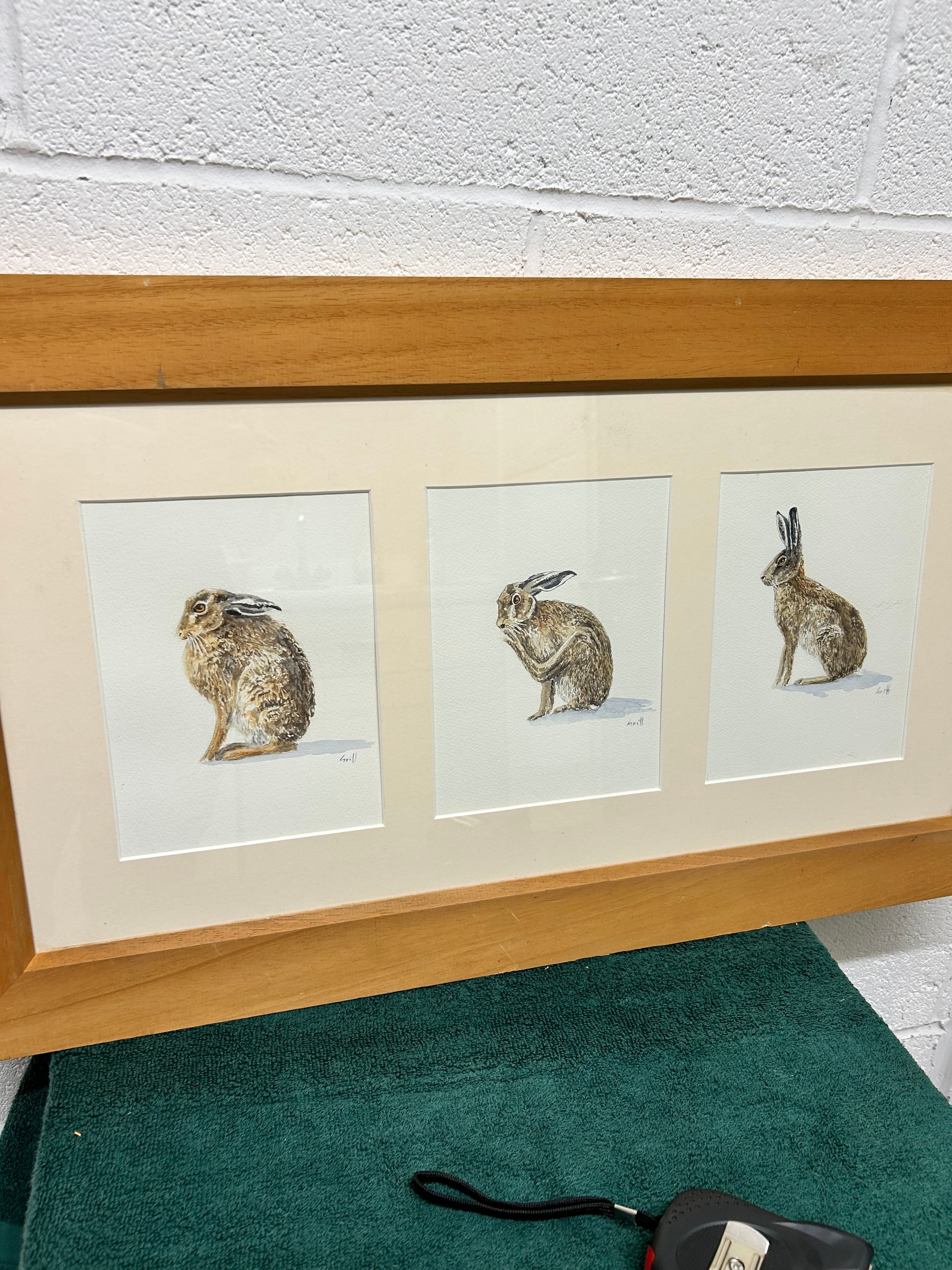 Contemporary Watercolour Hare Studies by Ian Griffiths in a Wooden Frame, 28.75"