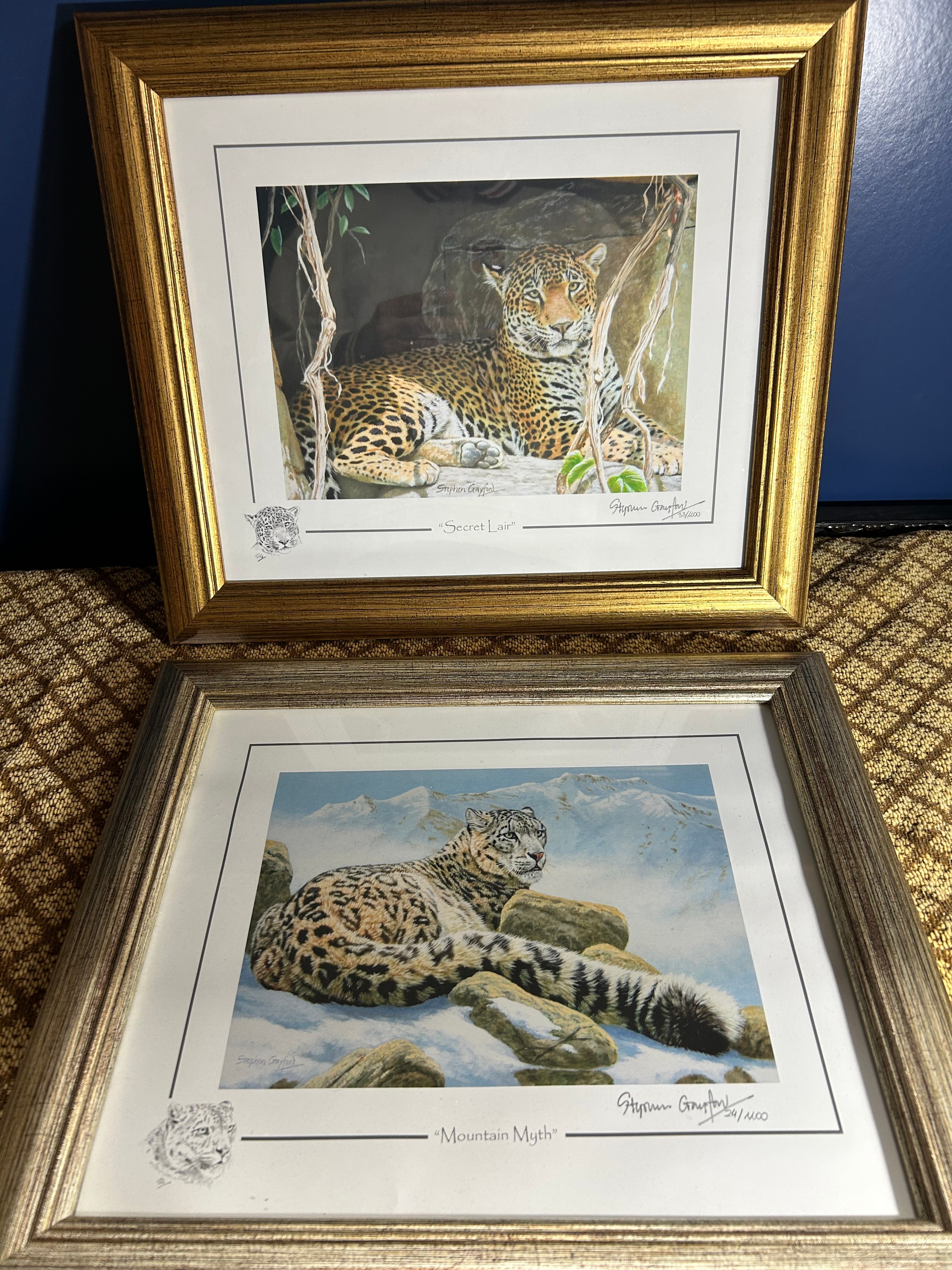 Stephen Gayford Limited Edition Giclée Wildlife Prints, 16"