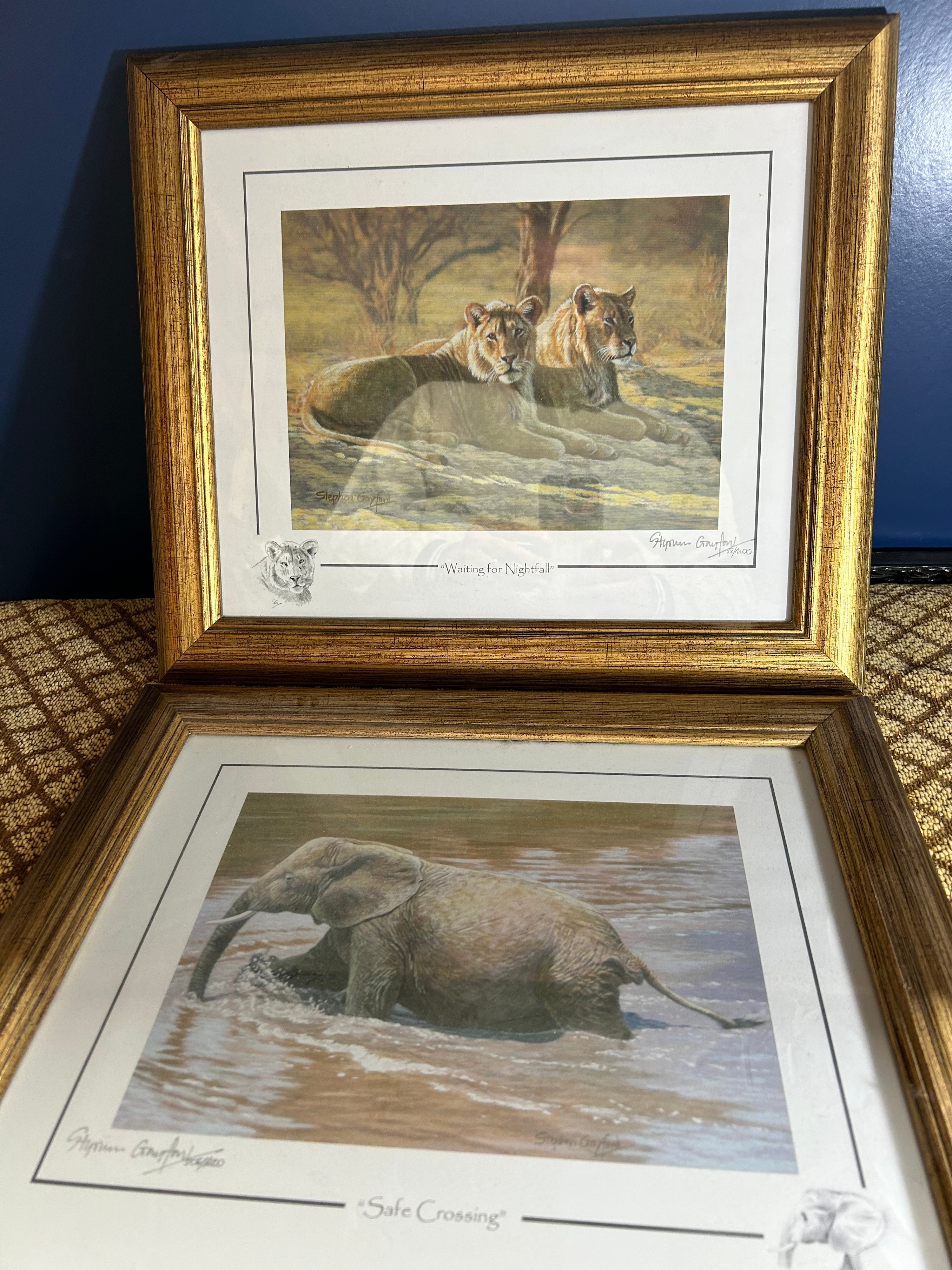 Stephen Gayford Framed Limited Edition Wildlife Prints, 16.5"