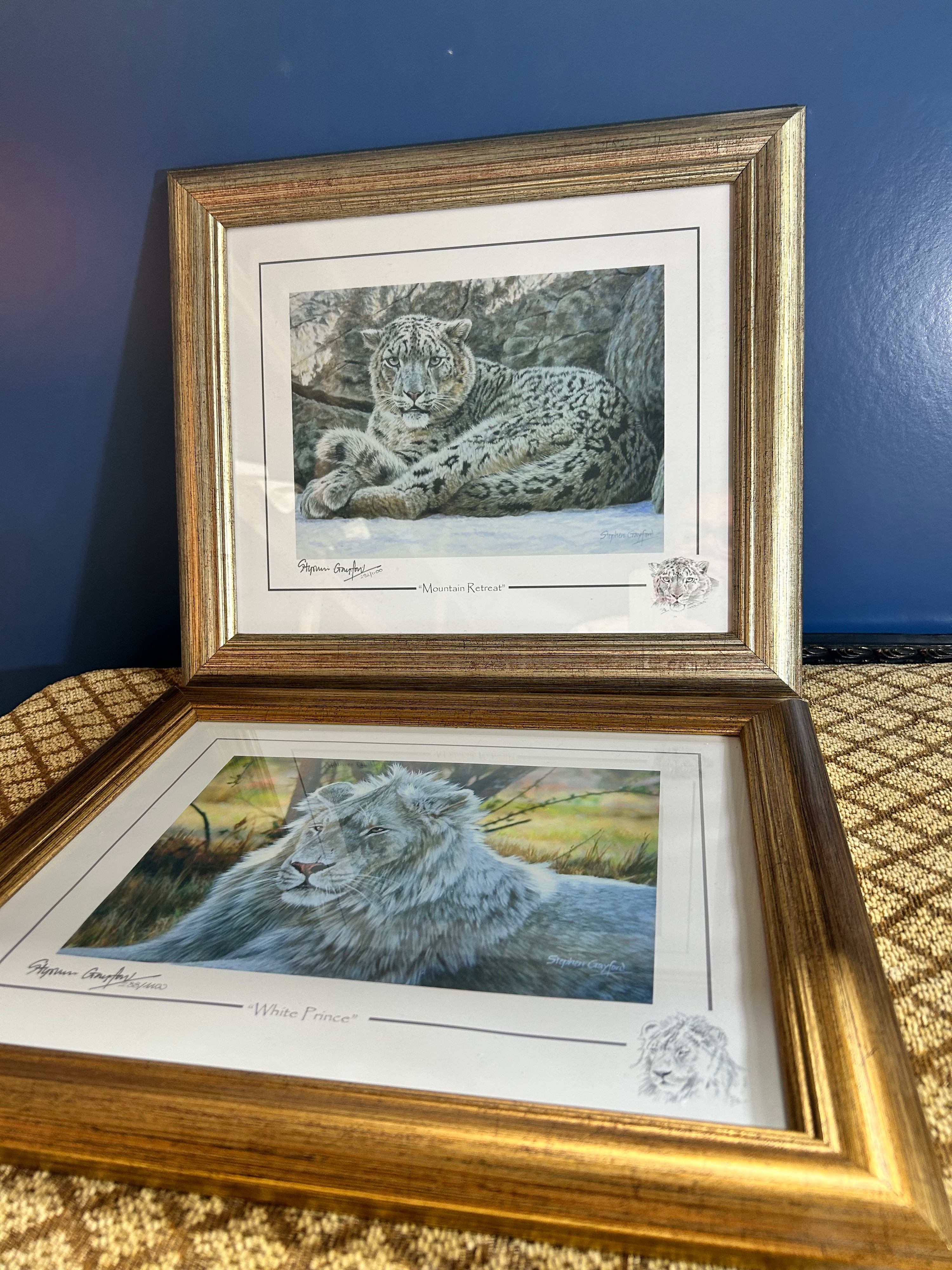 Stephen Gayford Gilt-Effect Framed Limited Edition Big Cat Prints, 16.5"