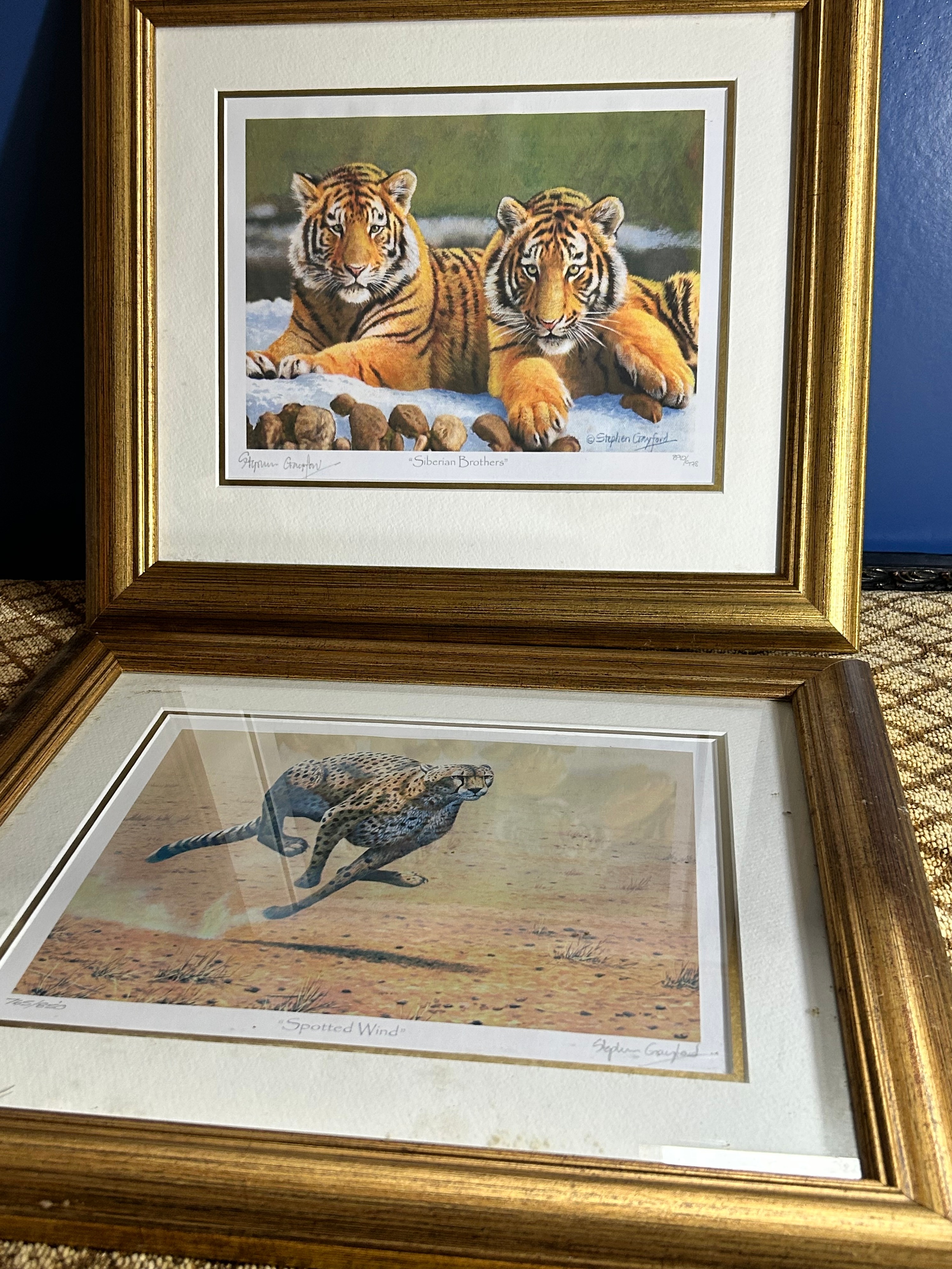 Stephen Gayford, Siberian Brothers and Spotted Wind, Pair of Gilt-Framed Prints