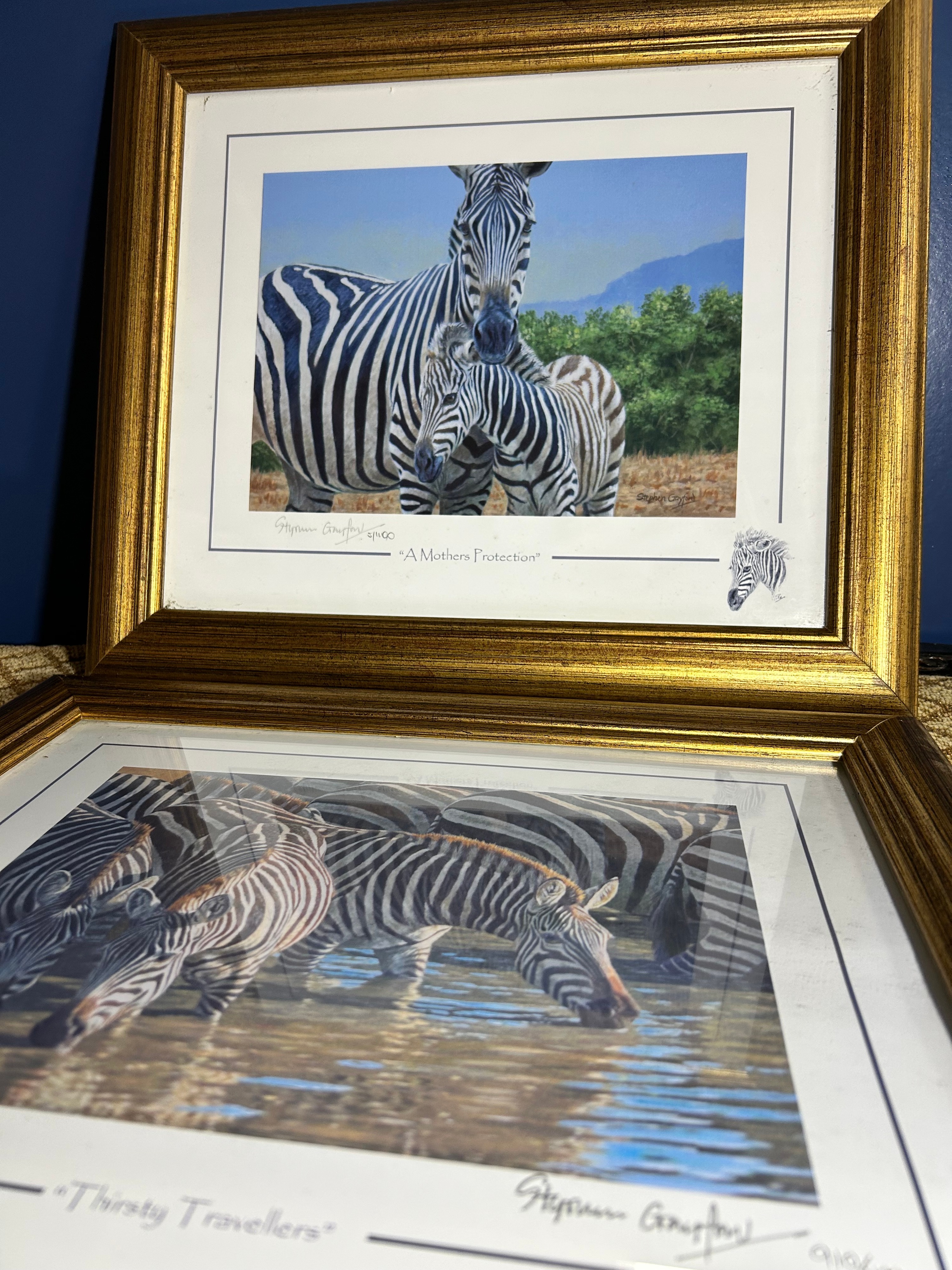A Pair of Contemporary Limited Edition Zebra Prints by Stephen Gayford