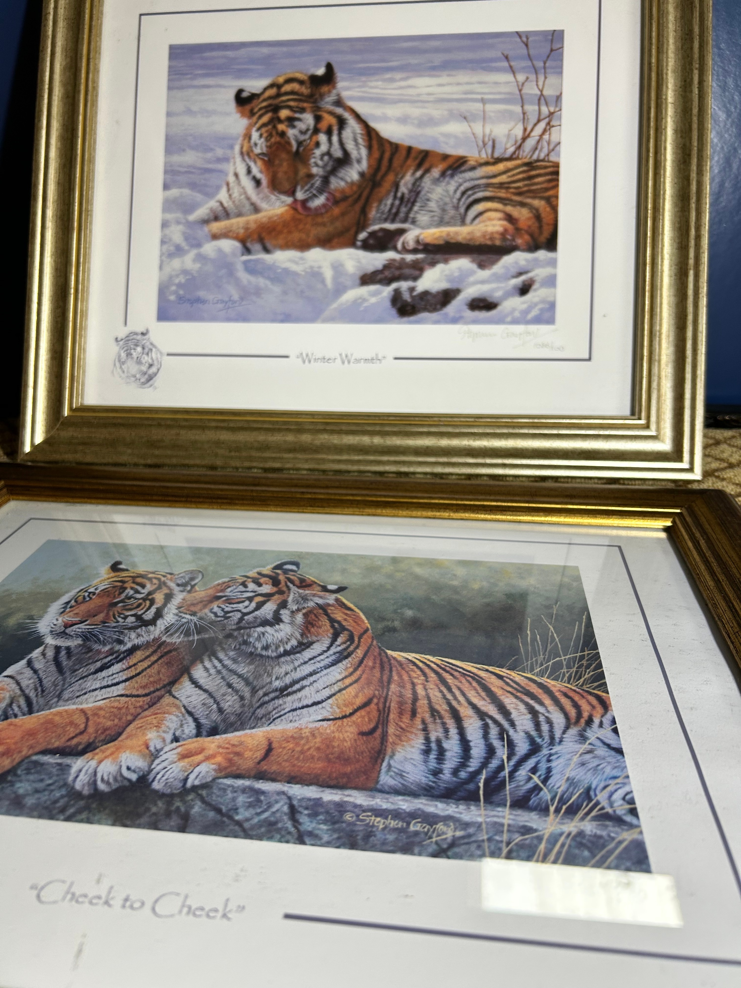 Stephen Gayford Framed Limited Edition Wildlife Prints, A Pair