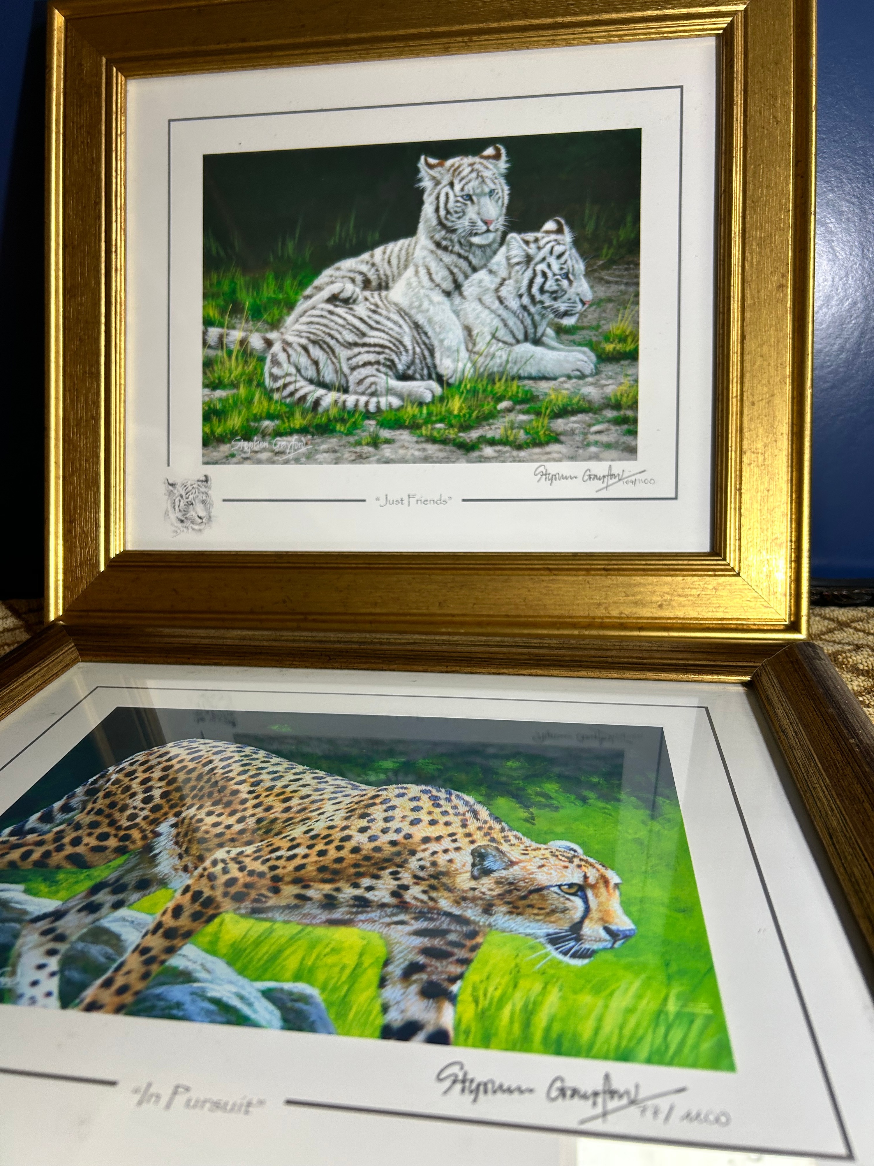 Stephen Gayford Signed Limited Edition Wildlife Prints, Just Friends and In Pursuit