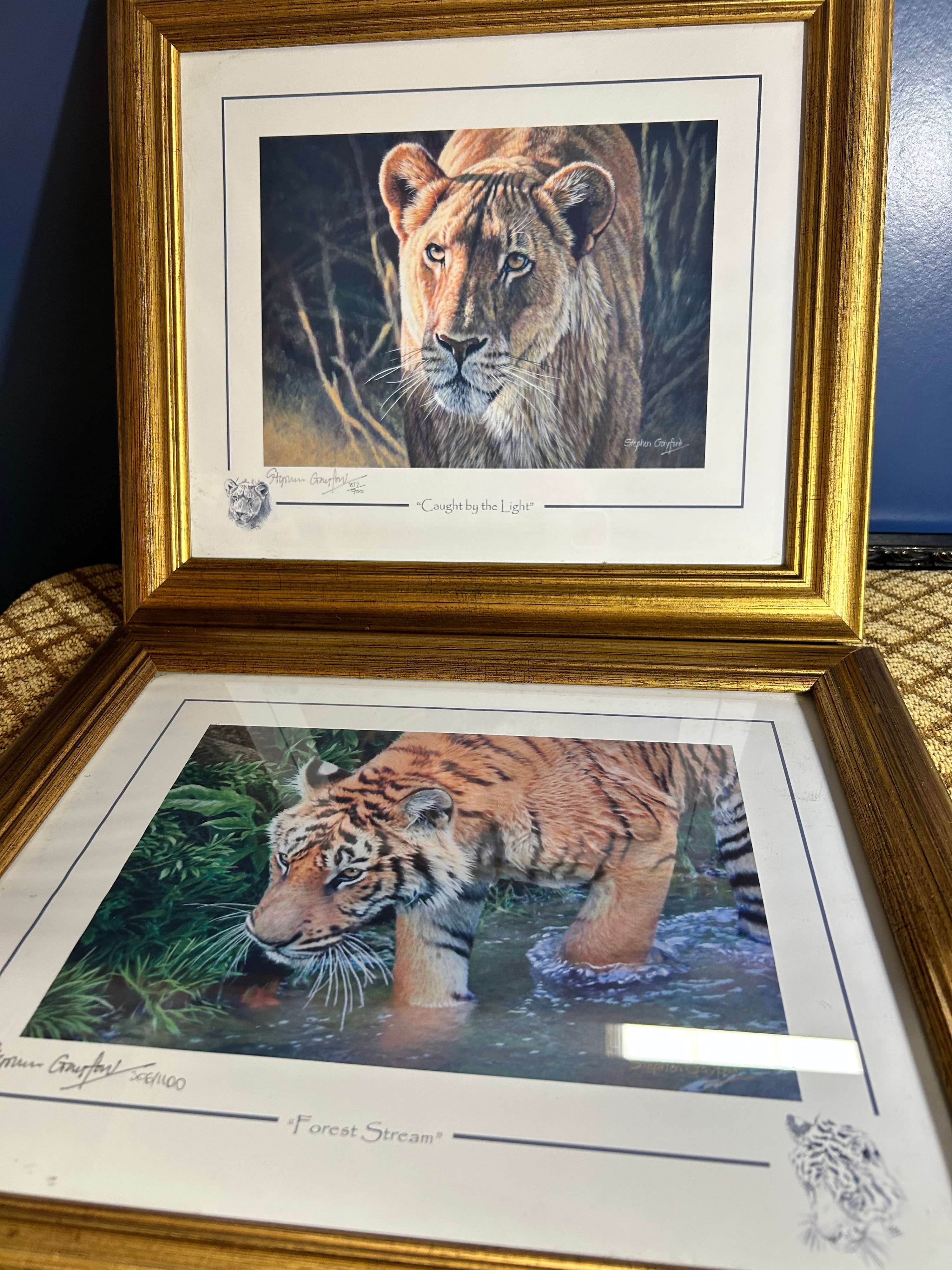 A Pair of Stephen Gayford Limited Edition Wildlife Prints, Forest Stream and Caught by the Light